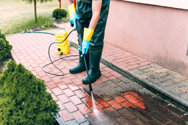 Best Roof Pressure Washing  in Altoona, PA